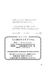 (C73) [Usoppu Land (Amayumi)] Gemini Drive Final