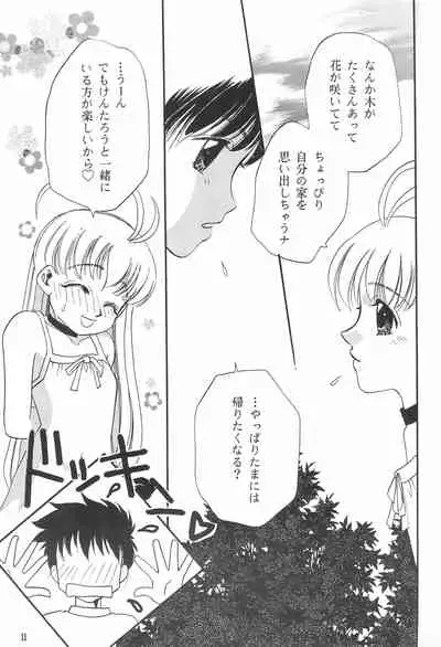 Pink no Nikkichou