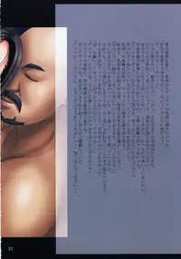 [Crimson (Carmine)] F.F Fight Ultimate 2 (Final Fantasy VII, X-2, XII)