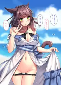 [lionoil (Arumajiki)] Miqo'te Mizugi Bon!! (Final Fantasy XIV) [Chinese] [Digital]