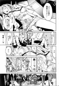 COMIC DOLPHIN 2005-08