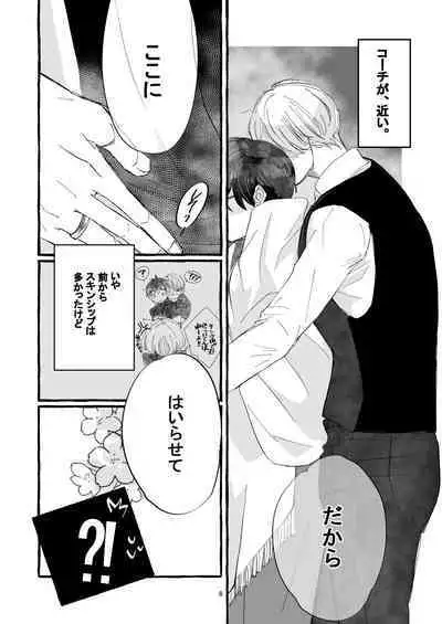 Haru no Shoumei