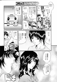 COMIC DOLPHIN 2005-08