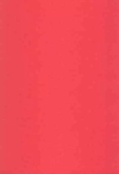 Nandemoya-san no Hataraku Puniman ni Gyaku Netorase Haramase Irai Saimin mo Suru zo