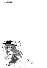 (C76) [Dokomademo Aoi Sora ni Ukabu Niku. (Nikusoukyuu.)] Mousou Uchouten Soushuuhen + Omake Mousou (Touhou Project)