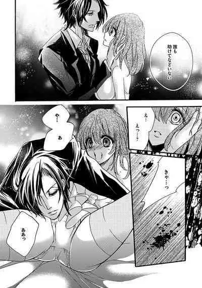 鬼畜兄弟の悶絶調教～私はいいなり奴隷～