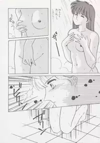 (C37) [Secret Society M (Kitahara Aki)] Anice 2 Gekkabijin (Sonic Soldier Borgman)