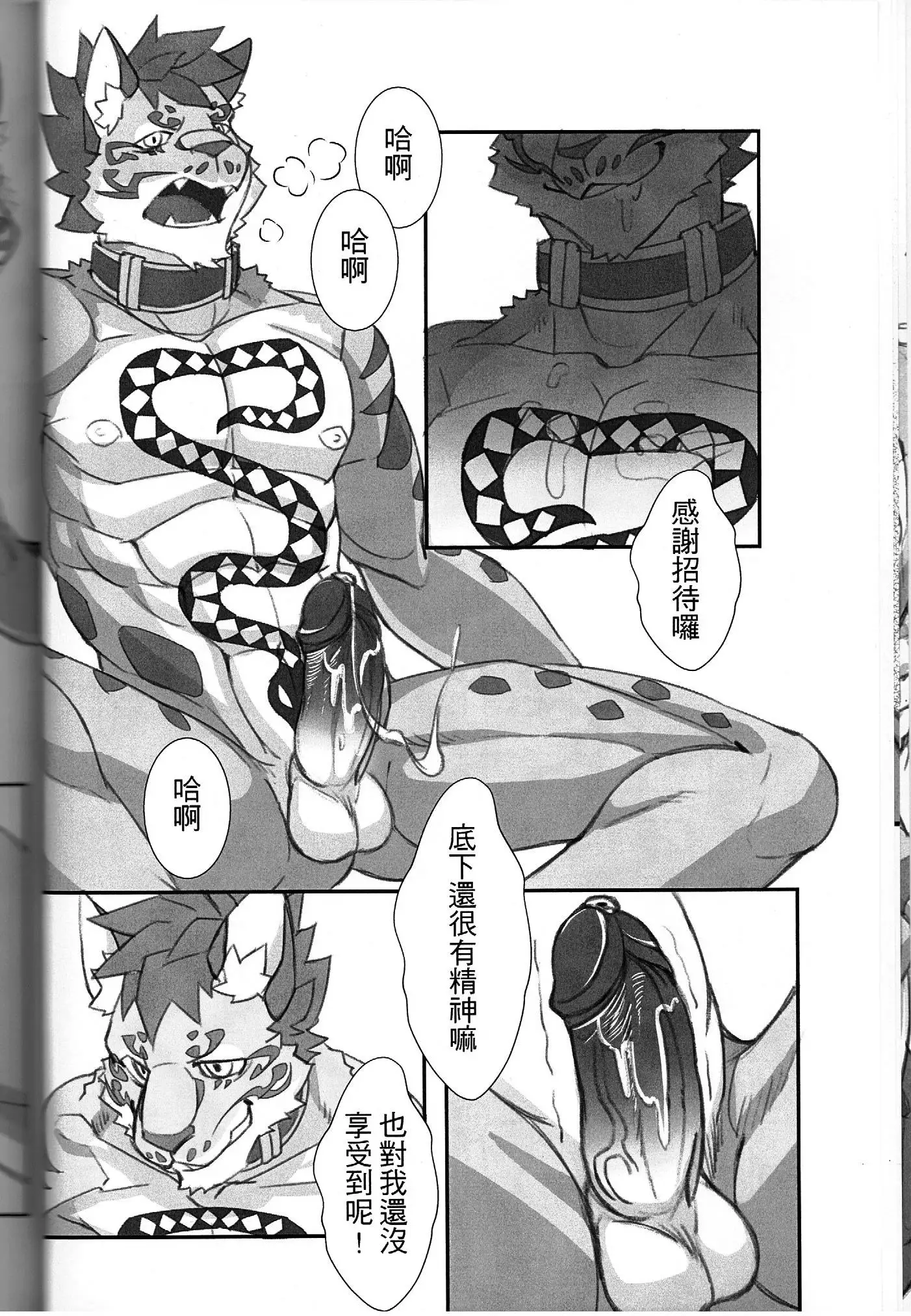 漫畫《家有大貓-Before the Story》