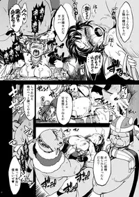 [Xration (mil)] Hime Kishi Tame Ho (Ragnarok Online) [Digital]