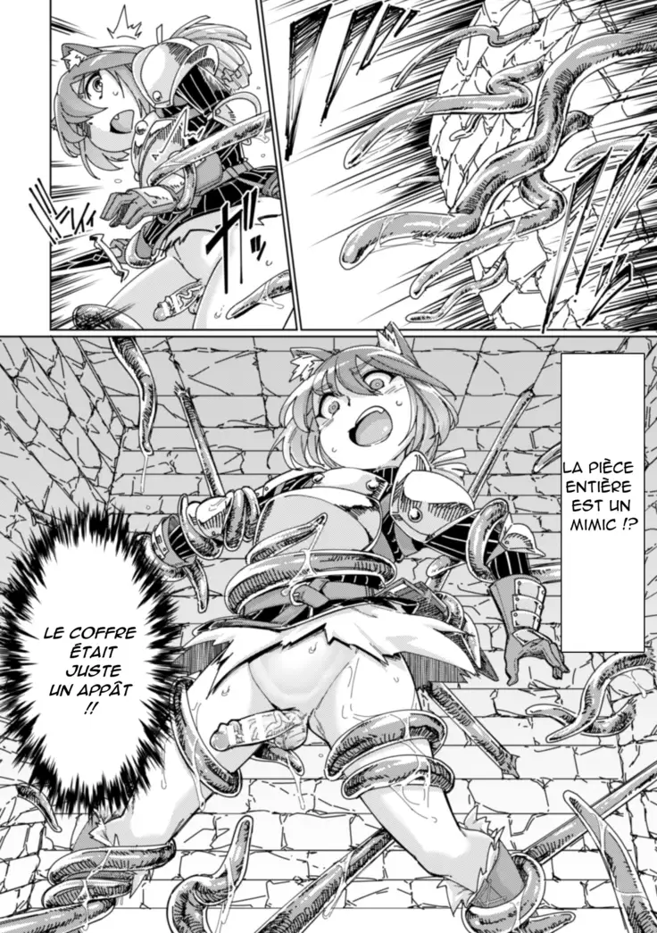 Wana Fumi Cat | un piège pour un chat