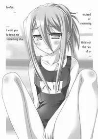 (COMIC1☆3) [Nirvana Soft (HIRONII)] Felli no Hi-Mitsu Tokkun (Chrome Shelled Regios) [English]