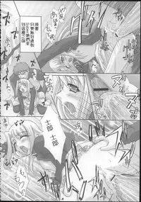 [Tamaranchi (Sinbo Tamaran)] euphoria II ~Mahou Tsukai no Yoru~ + ALLIANCE (Mahou Tsukai no Yoru, Fate/stay night) [Chinese] [逆襲漢化]