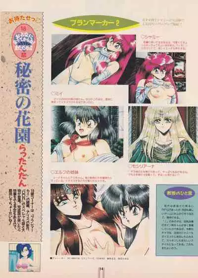 Bishoujo Seminar '93 DX Limited