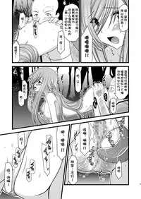 (C76) [valssu (Charu)] Melon ga Chou Shindou! R (Tales of the Abyss) [Chinese] [流星汉化]