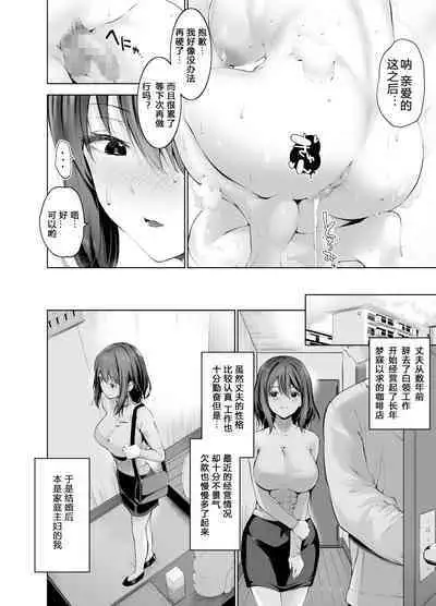 Gitei no Kaseifu o Suru Hitozuma Otto no Shiranai Aida ni Netorarete yuku Hibi