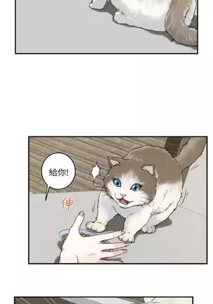 S-Mate 1-86 官方中文（連載中）