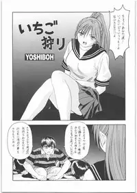(C70) [St. Different (Yoshiboh)] Y-Selection 4 (Ichigo 100%, Stellvia of the Universe)