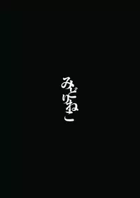 (Touhou Goudou Event 2017 Shinshun!) [Midorineko (Midori)] Senjitsu Tasukete Itadaita Kuroneko desu. (Touhou Project) [Chinese] [oo君個人漢化]