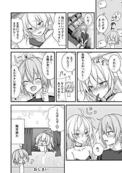 Maryokugire shita Incubus o Hirotta Hanashi