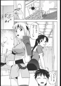 (C68) [Studio Wallaby (Niiruma Kenji)] Milfa to Poala to Yojouhan (Beet the Vandel Buster)