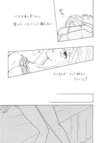 [Bee & Watermelon] Yume Ichiya 2 (One Piece)