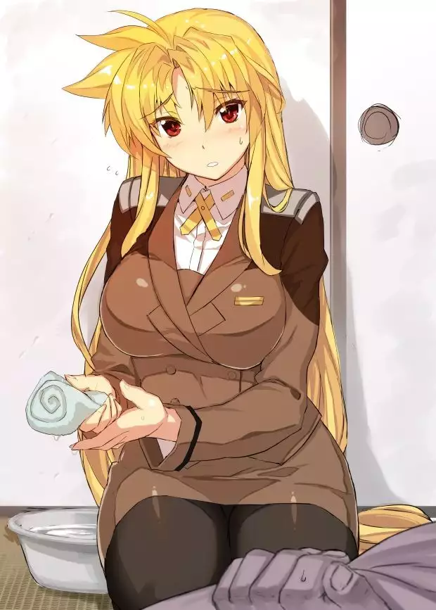 Akogare no Joushi ni Mechamecha Amaetai Hon | I Wanna be Totally Spoiled by My Dear Boss Book