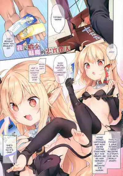 Boku wa Chiisana Succubus no Shimobe - I am a slave of a small succubus