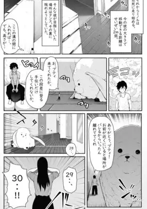 ペケーニャ２