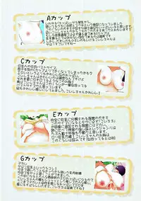 (Reitaisai 11) [Seisyun Katsusand (Bakko, Cassandra)] Koichichi ga Ippai!! (Touhou Project)