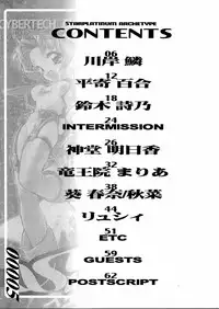 [Z-VECTOR (Nadeara Bukichi)] STAR PLATINUM ARCETYPE