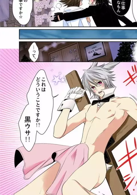 Hatsujou Bunny Shitsuji II