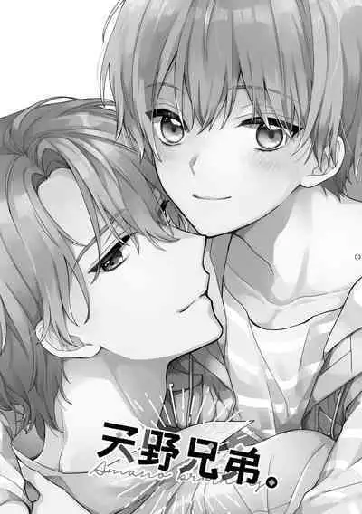 Amano Brothers.