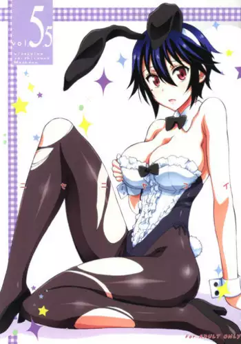 (C83) [Project Harakiri (Kaishaku)] Nisenisekoi (Nisekoi) [Chinese] [佳奈助汉化组]