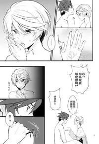 [Wicoa (Sezaki)] Sonna no Tokkuni, (Tales of Zestiria) [Chinese] [沒有漢化]