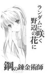 (C65) [Aion (Amou Mari)] Random Ni Saku Nobe No Hana Ni (Full Metal Alchemist)