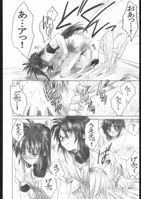 (C63) [Toko-ya (Kitoen)] Side:RYU - Ryuu no Me no Fuukei ~ third (Breath Of Fire)
