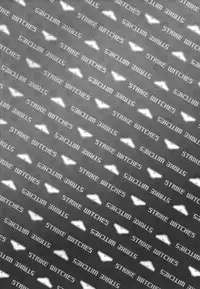 (Puniket 22) [Hitomaron (Setouchi Sumako)] Pantsu to Zubon no Kyoukaisen 2 | The Boundary Line Between Panties and Pants 2 (Strike Witches) [English] [Yuri-ism]