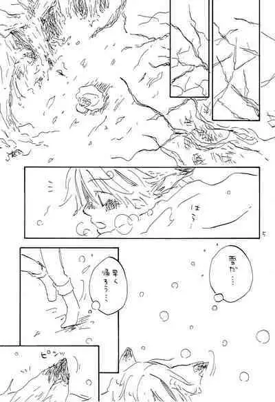 海の虹が沈む森