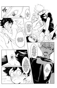 (Douyara Deban no Youda! 7) [Dokosahekisaen-san (Aroe)] Boku no Risou no Mirai | My Ideal Future (Boku no Hero Academia) [English]