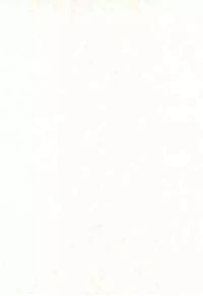 (C62) [Totocal LAND (Watase Hiroko)] FLOWER (Digimon Tamers)