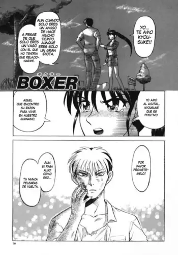Boxer