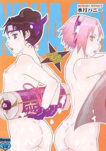 Ninja Girl Diary