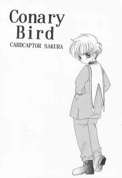 ROSDE CONARY BIRD