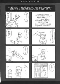 (CT20) [Alemateorema (Kobayashi Youkoh)] GARIGARI 44 (Fate/stay night)