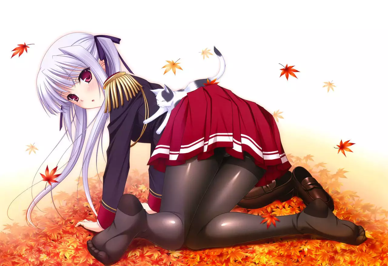 Pure Fetishism Komori Kei Gashuu