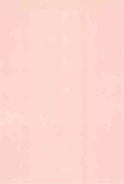 [Studio Rakkyou (Takase Yuu, Ashisyun)] Kanzen Nenshou 14 (Otogi-Jushi Akazukin) [2007-04-15] [Chinese] [牛肝菌汉化]