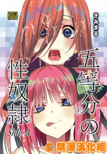 Gotoubun no Seidorei Side-D