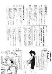 (SC25) [Red Ribbon Revenger (Various)] Kaze no Yousei 2 (Elemental Gelade)