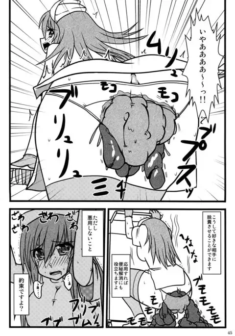 Purimusu! Dai 2-gou