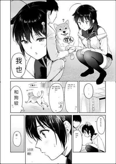 Shigure honey dog